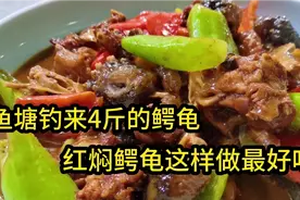 钓友鱼塘意外钓来4斤的鳄龟拿来饭店加工，家常做法简单又好吃！视频封面