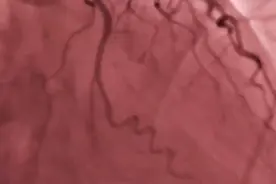 荷尔蒙在身体里的作用