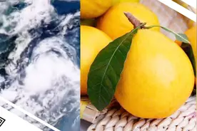 超强台风“利奇马” 也是水果！2分钟盘点台风命名逻辑视频封面