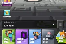 柔柔教你买mc皮肤