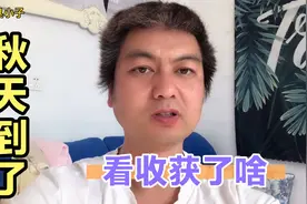 小伙子采摘家里的倭瓜和南瓜，看看这收获，真是不少呀！视频封面