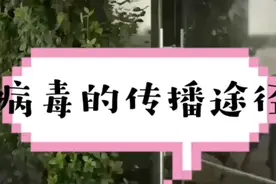 我带大家看看，病毒是怎么传播的！视频封面