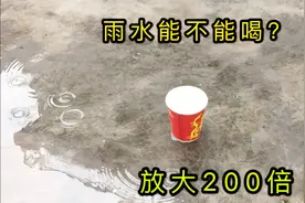 雨水放大200倍后很脏，不忍直视视频封面