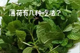 薄荷除了泡水喝，还有多种吃法，我们尝试了几种吃法，都很美味