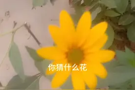 十月一八月节同一天
