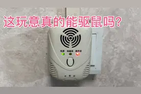 淘了一个电子驱鼠驱蚊器，看下是不是交了智商税？视频封面