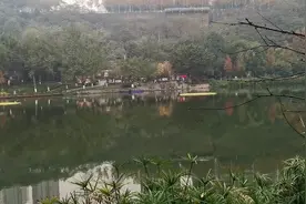 重庆风景好还不收门票的公园，大家可以去游玩，去了不后悔视频封面