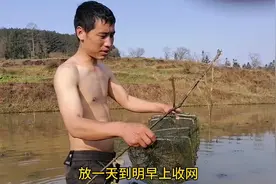 农村生活小窍门，几个网在田里一天可以网到几十斤泥鳅哦！