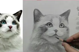 素描猫咪怎么画？来看看怎么画好你的素描猫咪吧！视频封面