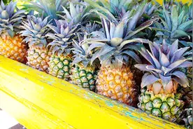 最贵的菠萝，一个要1万多，这是你几个月工资啊视频封面