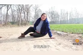 喜剧生孩子下:小麦生孩子，结果却把孩子生在半路，过程太搞笑了视频封面