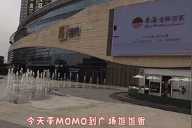 妈咪带女儿到商场玩蛇蛇，好吓人！视频封面