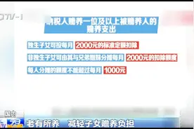 老有所养！纳税人赡养老人的支出按2000元标准定额扣除视频封面