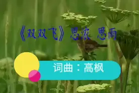 【点歌台】经典老歌【双双飞】演唱：思浓思雨视频封面