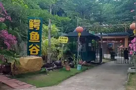 参观鳄鱼养殖，想吃鳄鱼肉的朋友可以看看视频封面