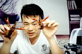 小龙虾放大1000倍，无数物体做简谐运动，看了赶紧吃一盆压压惊视频封面