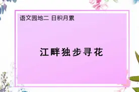 四年级下册预习日积月累二《江畔独步寻花》理解背诵视频封面