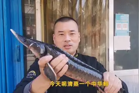 教给你做清蒸鲟鱼，营养丰富肉嫩鲜香，全身都能吃不用吐骨头