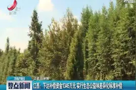 江西：下达补偿资金1345万元 实行生态公益林差异化标准补偿视频封面