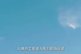 菠菜炖豆腐等于草酸加钙，导致肾结石，真相告诉你＃健康辟谣视频封面