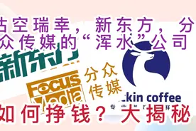 揭秘浑水！沽空瑞幸，新东方，分众传媒的“浑水”如何盈利？视频封面