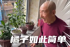 在东北屋里还能种植桔子🍊！视频封面