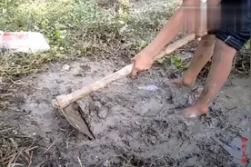 想吃鱼，就用这个方法。坐等收鱼喽！