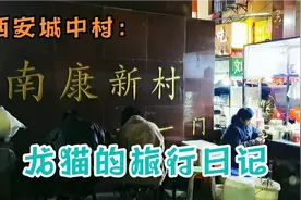 西安北郊著名城中村南康新村夜市，1块钱2个水煎包！价廉味美！视频封面