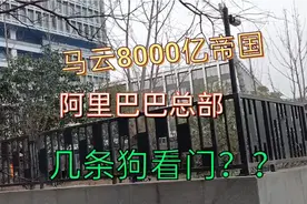 浙江杭州，“准世界首富”马云8000亿阿里巴巴总部，几条老狗守护视频封面