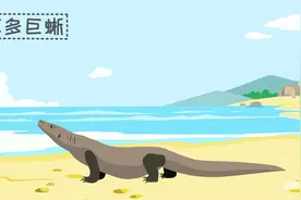 目前已知体型最大的蜥蜴是什么？视频封面