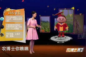 央视新节目，节目海水稻！到底是什么高科技视频封面