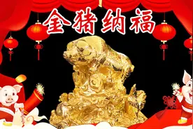 传统文化丨十二生肖之猪，猪被誉为最富贵的动物视频封面