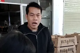 大白鸭苗，38天出栏，7天的充肉期成品鸭可长7斤以上视频封面