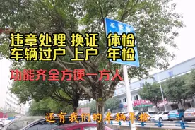 重庆南岸茶园新区的车管所集多项功能于一体，真方便！视频封面