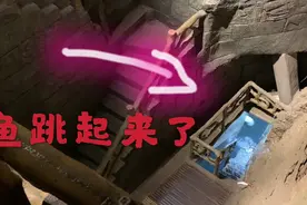 中央电视台专门报道过的“神奇鱼泉”，暴雨之前真的会涌出鱼泉吗视频封面