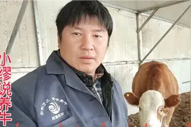 母牛产后到底用不用打产后康？产后康能解决所有问题吗？未必