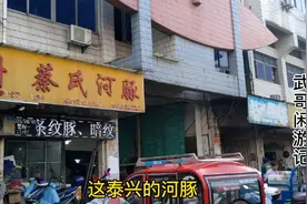四个半月以后再逛泰兴北门荷花池菜场,发现还有两家卖活禽肉鸽的!视频封面