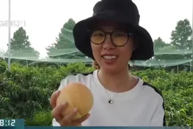 网红“爆汁”水蜜桃！“手动榨汁”香甜味美，秘诀究竟在哪里？