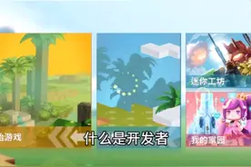 什么是开发者？