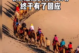 养蜂女回应《可可托海的牧羊人》那拉提的风雪诉说对牧羊人的亏欠视频封面