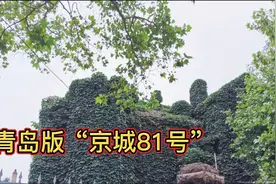 探访龙口路36号俗称“鬼宅”的神秘别墅被爬山虎覆盖至今无人敢住视频封面