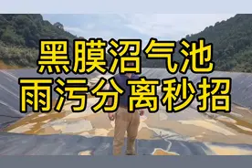 大型猪场牛场鸡场新建黑膜沼气池，如何雨污分离？张工说妙招