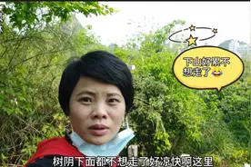枫林难得周日休息去爬山，25度穿毛衣出门，下山在树阴下面不想走