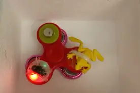 妞妞自制磁铁玩具-青蛙追飞虫