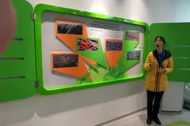 珠海垃圾分类宣传：城市垃圾的危害