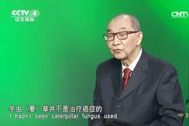 冬虫夏草能治癌症？专家现场辟谣：中药是一个复杂的存在，别乱吃视频封面