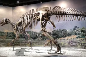 我国规模最大的古生物博物馆：辽宁古生物博物馆视频封面