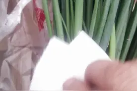 绿色小香葱对人体有害，吃了容易肾衰竭视频封面