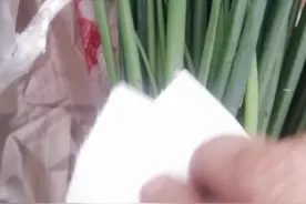 绿色小香葱对人体有害，吃了容易肾衰竭视频封面