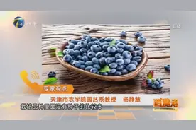 涨知识，蓝莓也长核，这个品种的蓝莓不光个头大还特甜，了解一下视频封面